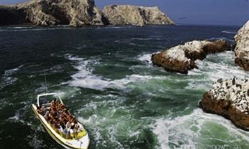 Paracas-Ica: 2D/1N para 2 personas + tubulares + Islas Ballestas y mas.